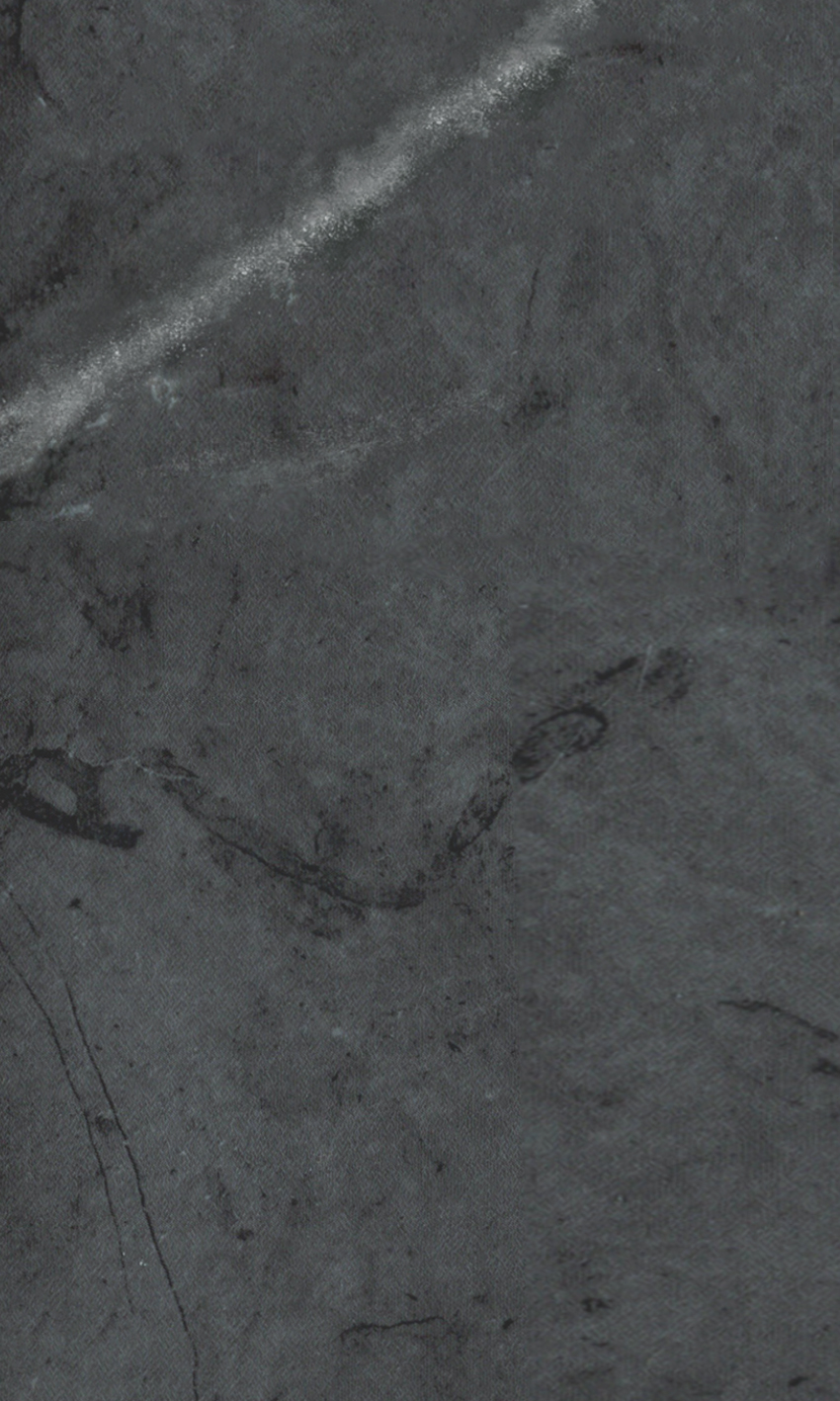 Soft Touch Dark Pietra